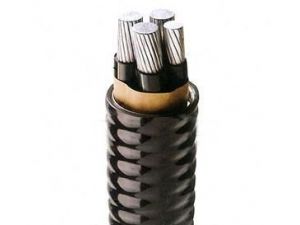 YJHLV 82交联聚乙烯绝缘铝合金带连锁铠装聚氯乙烯护套铝合金电力电缆