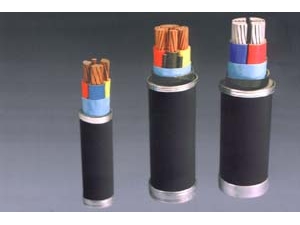 交联聚乙烯绝缘电力电缆 (2)
