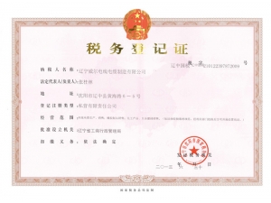 税务登记证(1)