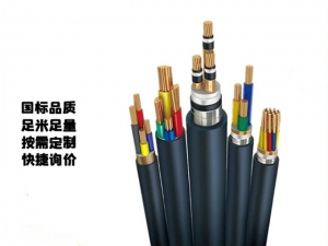 WDZNYJE22低烟无卤耐火电缆